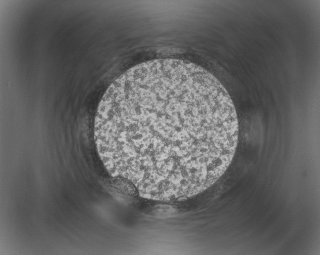 X0000080780519200701122125