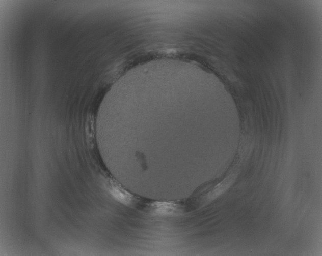 X0000080780528200701122125