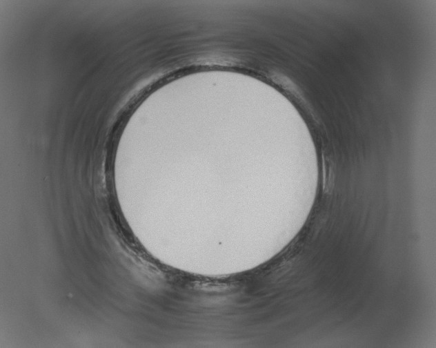 X0000080780531200701122124
