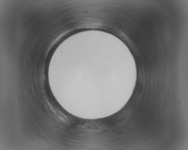X0000080780532200701122124