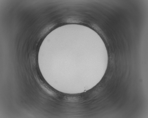 X0000080780533200701122124