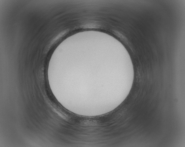 X0000080780535200701122124