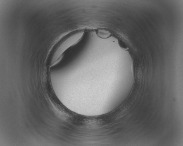 X0000080780540200701122124