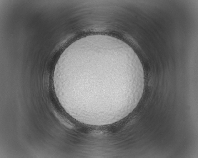 X0000080780542200701122124