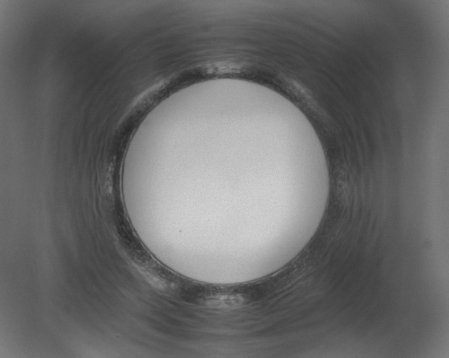 X0000080780543200701122124