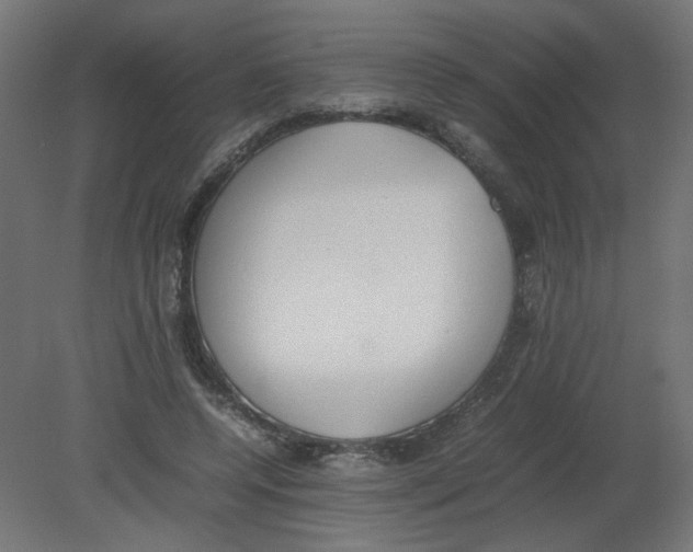 X0000080780544200701122124