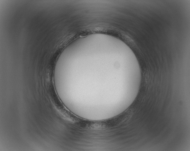 X0000080780546200701122124