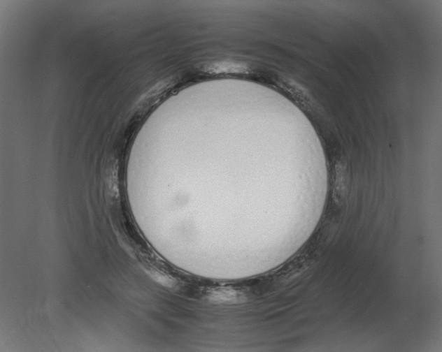 X0000080780547200701122124