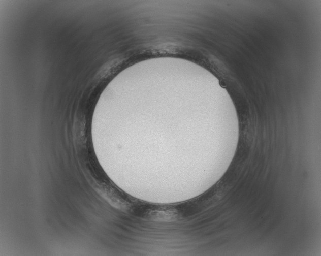 X0000080780548200701122124