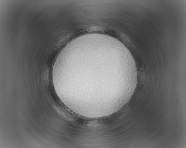 X0000080780550200701122124