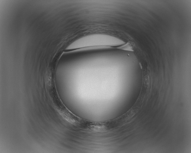 X0000080780552200701122124