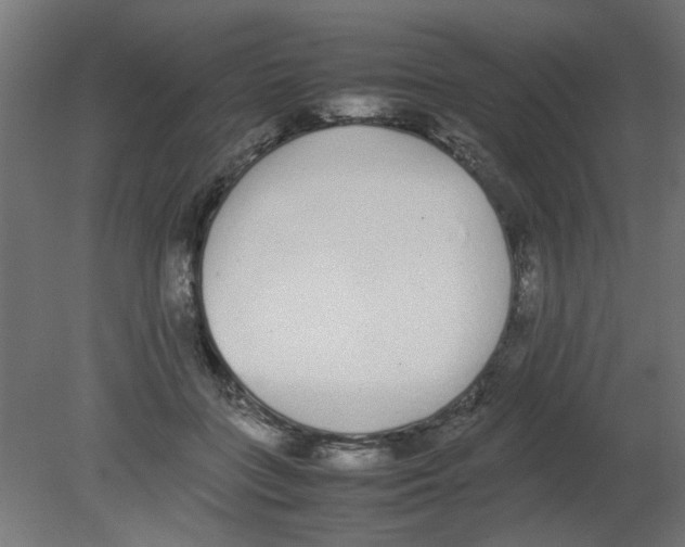 X0000080780555200701122124