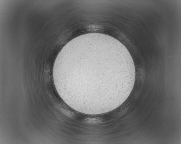 X0000080780557200701122124