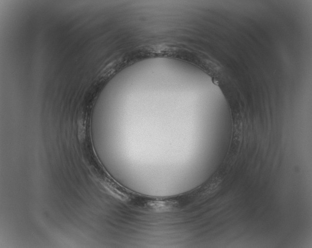 X0000080780558200701122124
