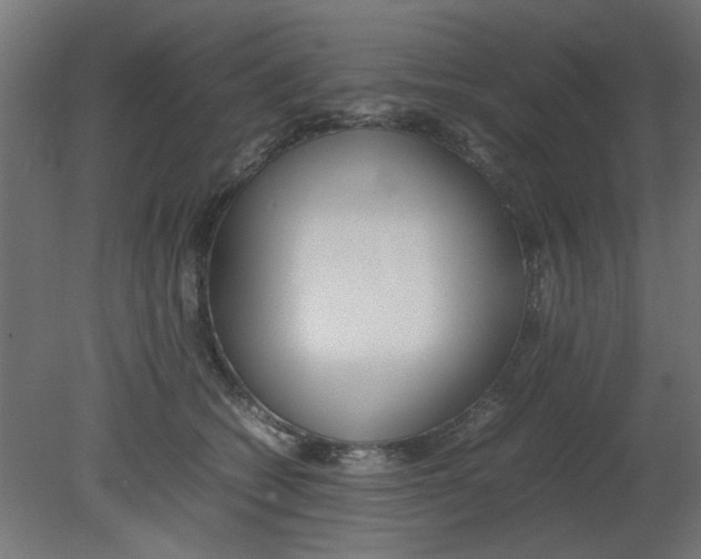 X0000080780562200701122124