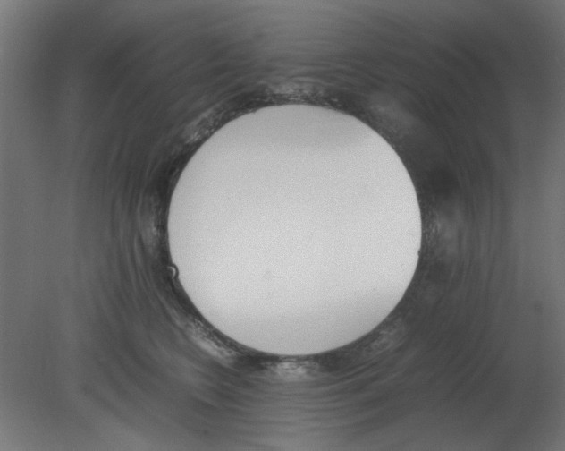 X0000080780566200701122124