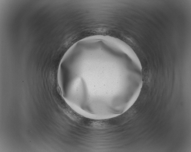 X0000080780568200701122125