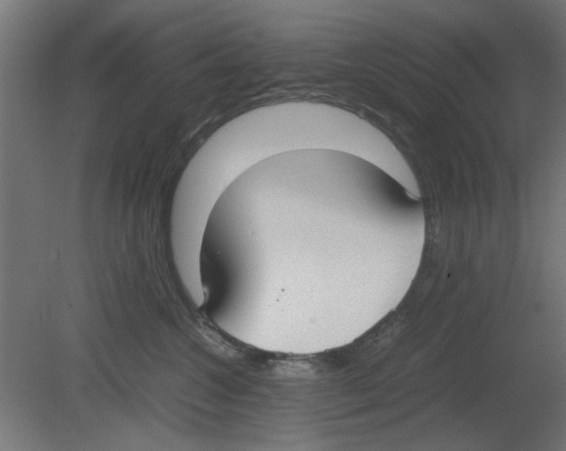 X0000080780572200701122125