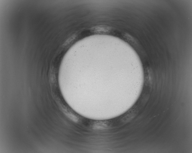 X0000080780573200701122125