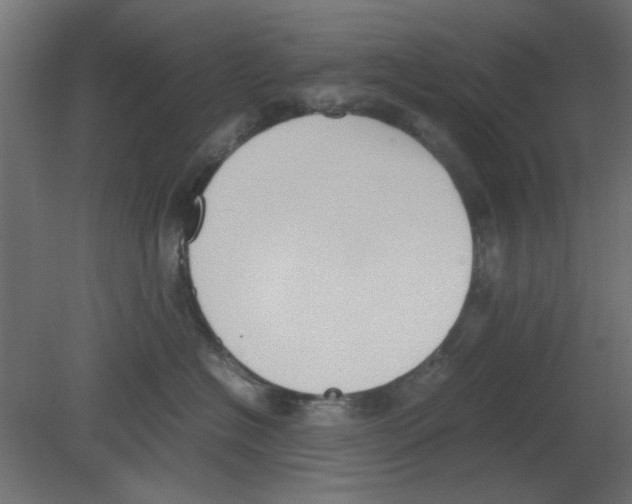 X0000080780574200701122125