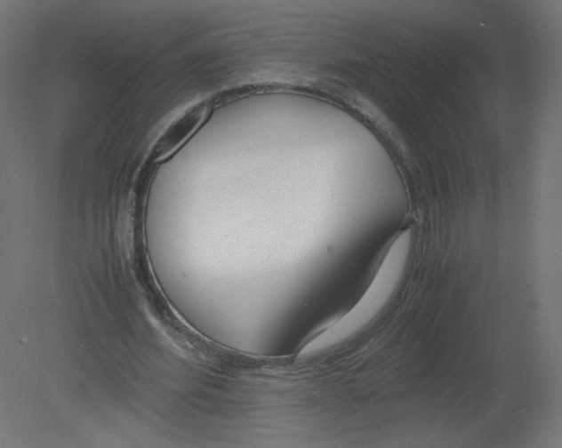 X0000080780580200701122124