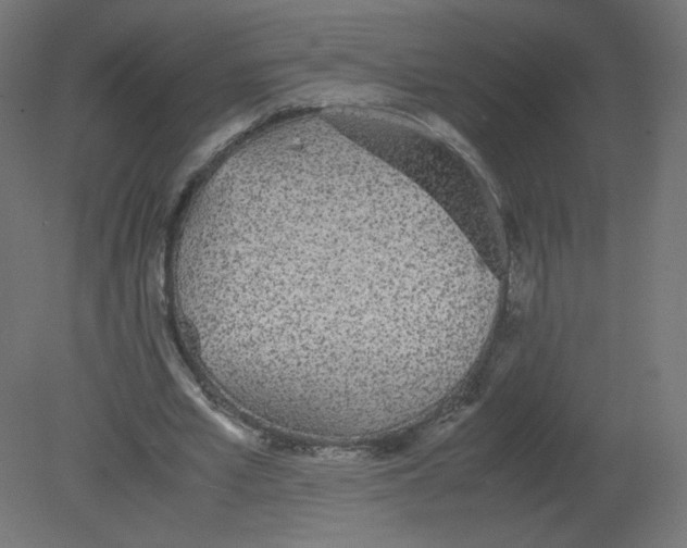 X0000080780581200701122124