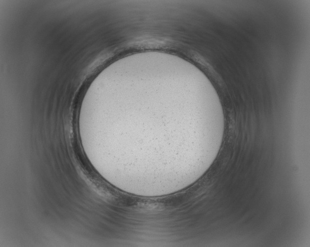 X0000080780582200701122124