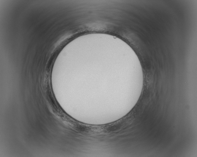 X0000080780583200701122124