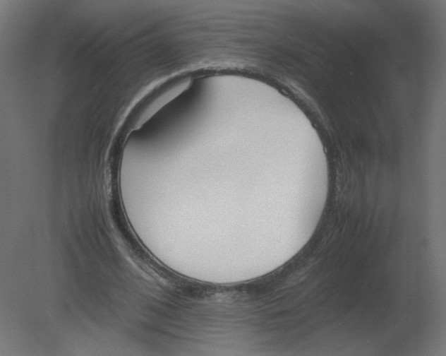 X0000080780584200701122124