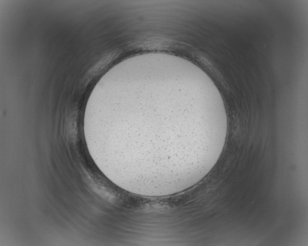X0000080780586200701122124
