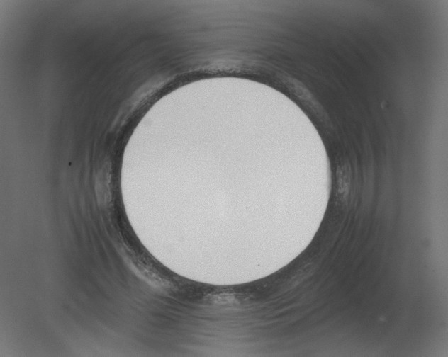 X0000080780588200701122124