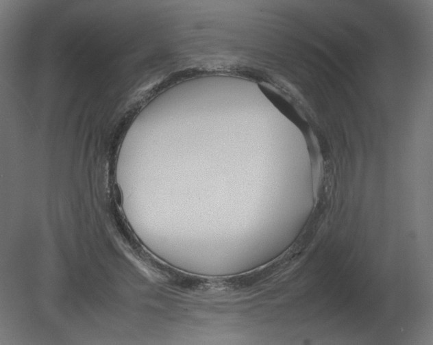 X0000080780589200701122124