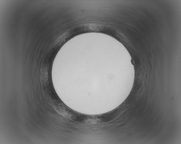 X0000080780595200701122124