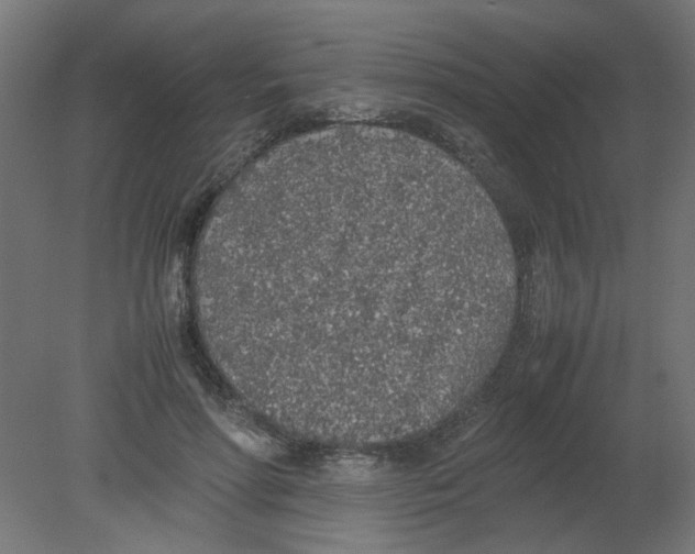 X0000080780598200701122123