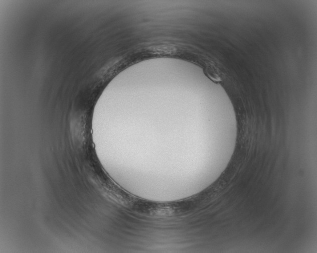 X0000080780600200701122123