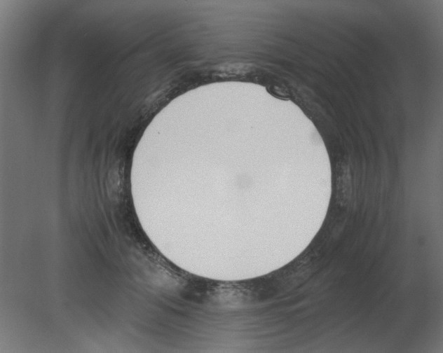 X0000080780608200701122123