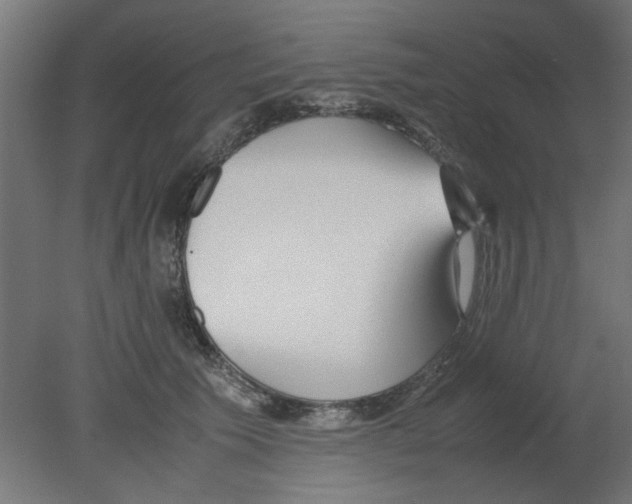 X0000080780609200701122123