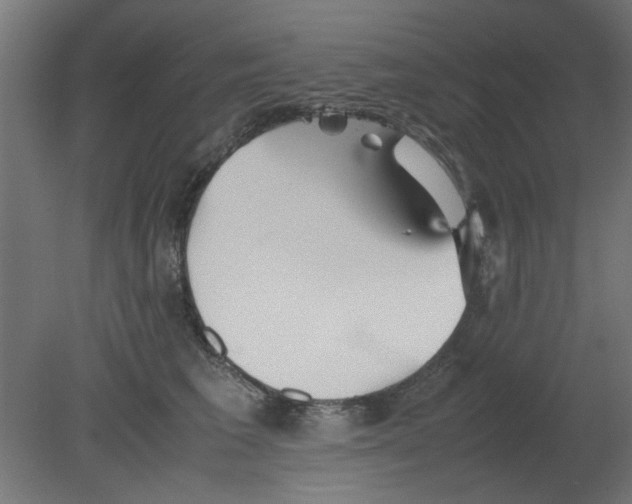 X0000080780613200701122123