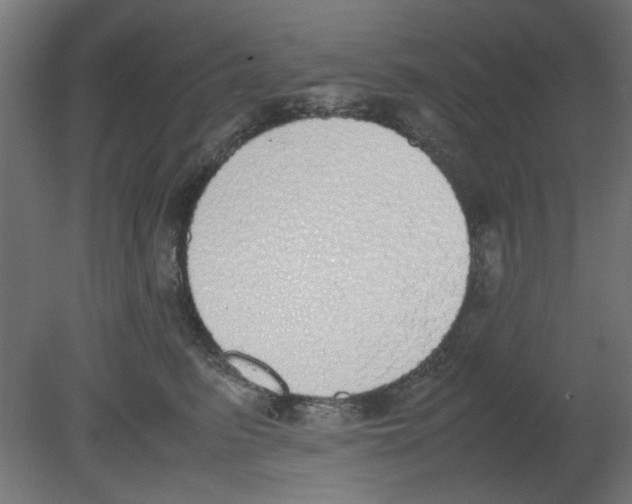X0000080780615200701122123