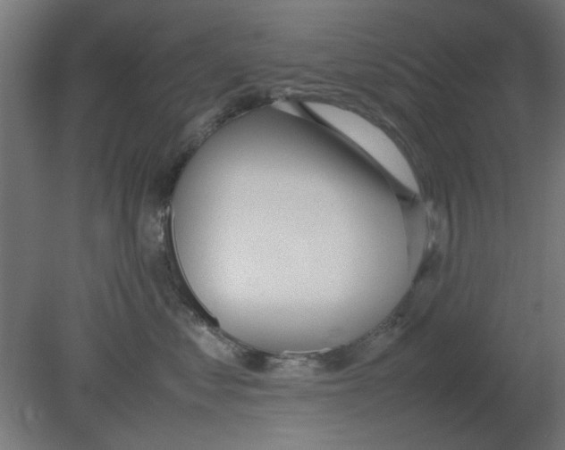 X0000080780621200701122123