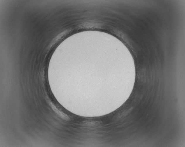 X0000080780629200701122122