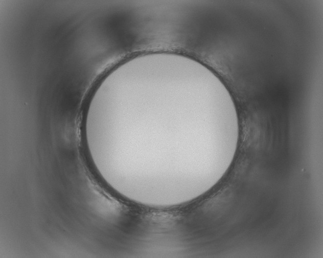 X0000080780632200701122122