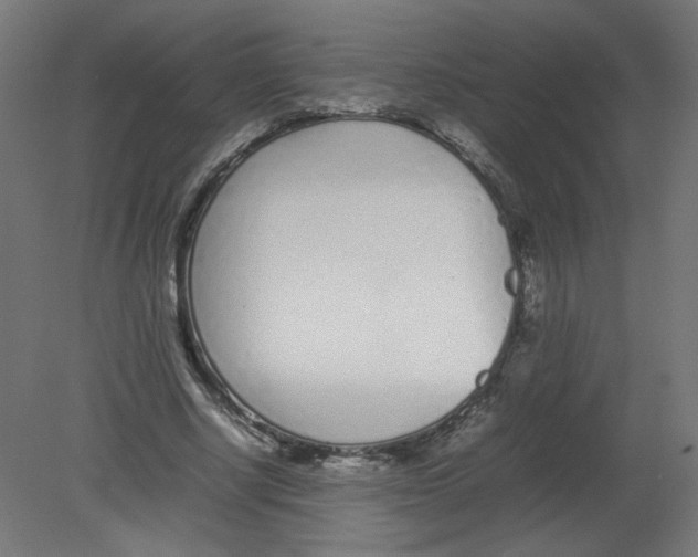 X0000080780634200701122122