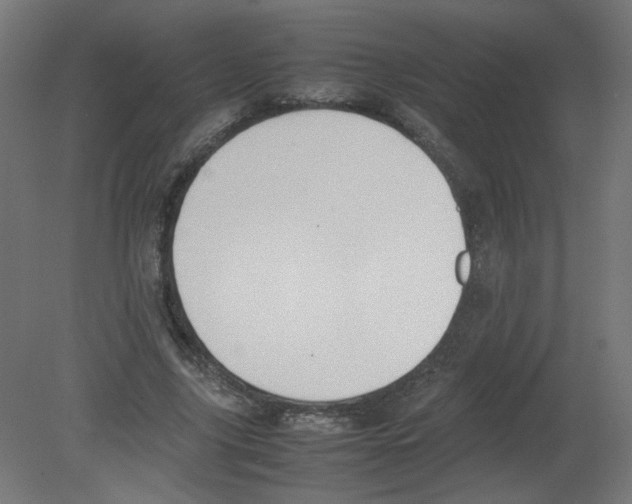 X0000080780635200701122122
