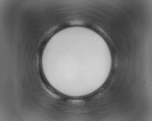 X0000080780637200701122122