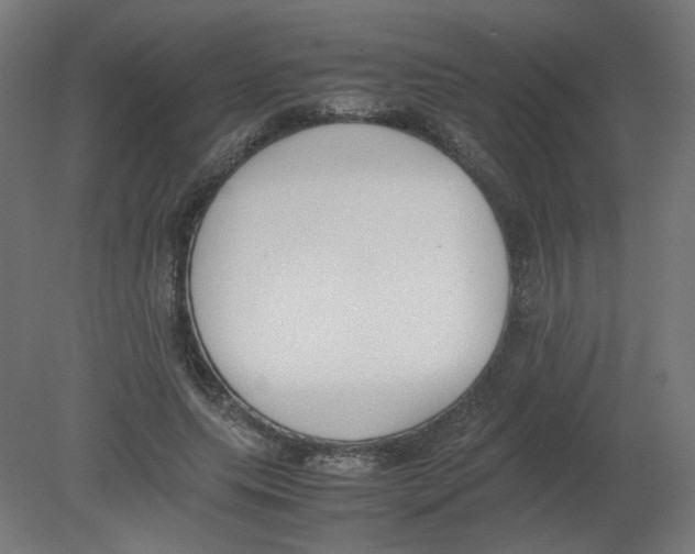 X0000080780639200701122122