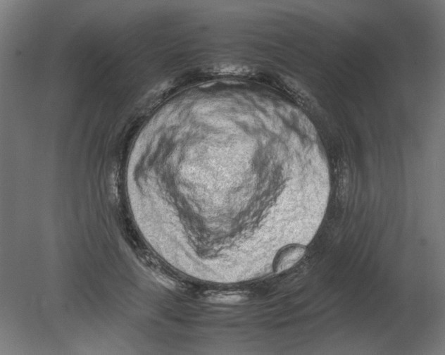 X0000080780643200701122123