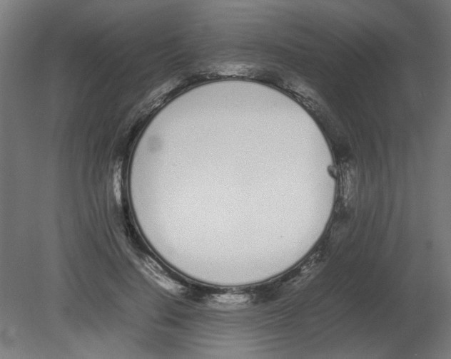 X0000080780644200701122123