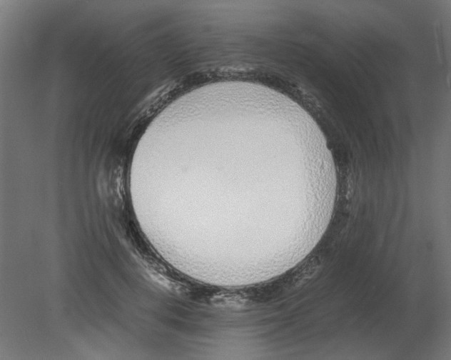 X0000080780648200701122123