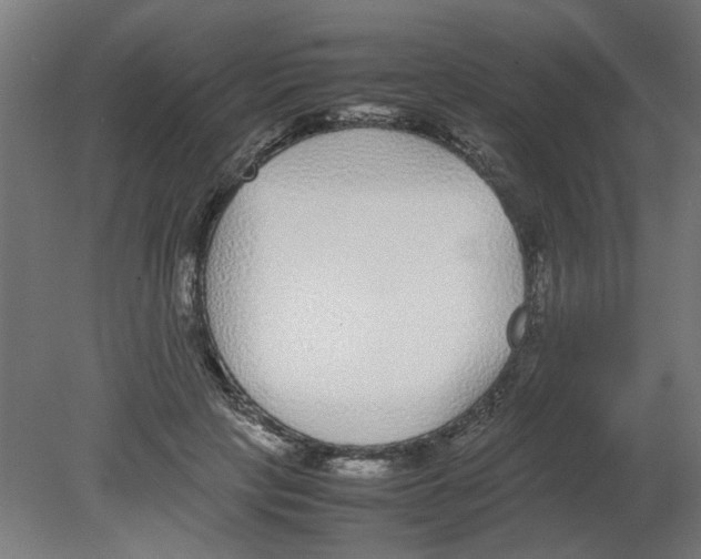 X0000080780649200701122123